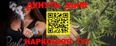 гашик Камышлов