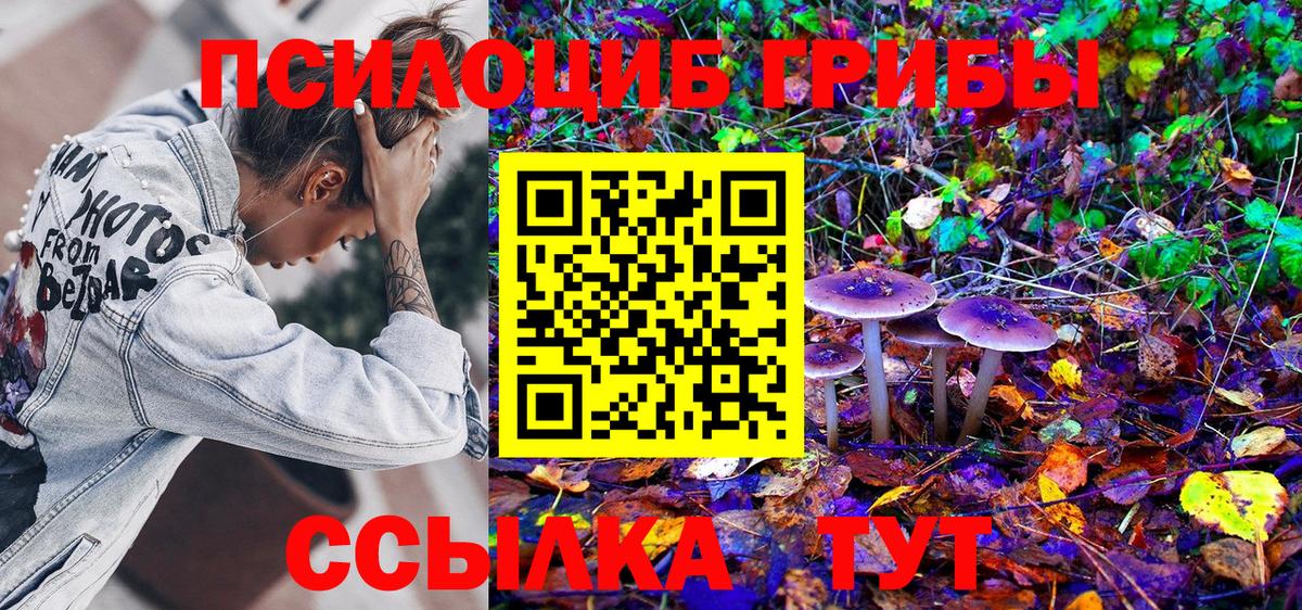 Галлюциногенные грибы Magic Shrooms Ликино-Дулёво