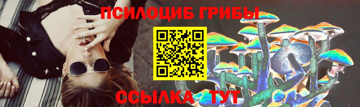 Ликино-Дулёво  Галлюциногенные грибы мухоморы  Вход с VPN  Галлюциногенные грибы Psilocybine cubensis 